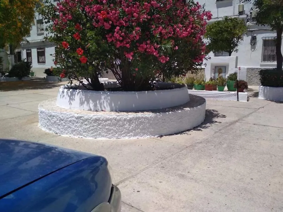 Vegandi Apartment Barbate 0*,